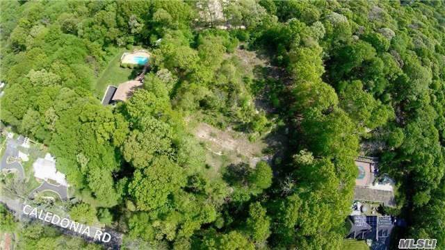 601 Caledonia Road - Photo 1