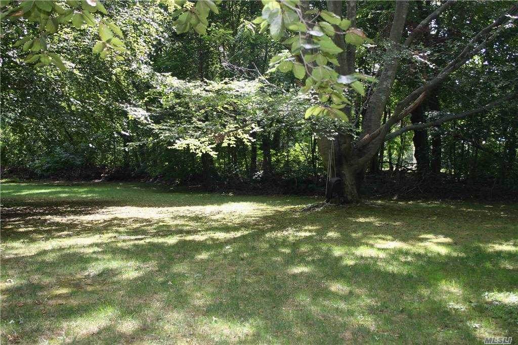 Clews Drive - Photo 1