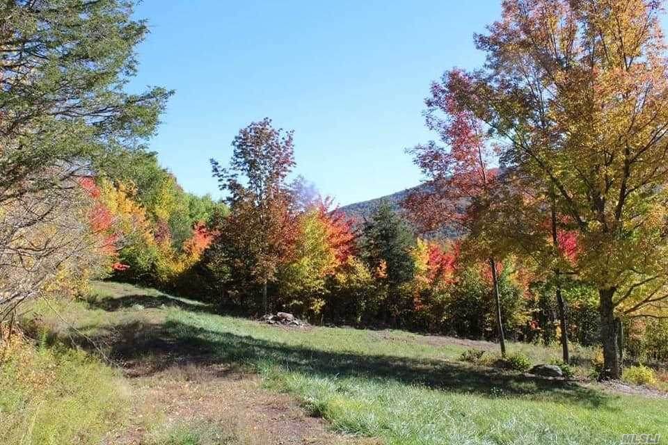 Deer Lane - Photo 1