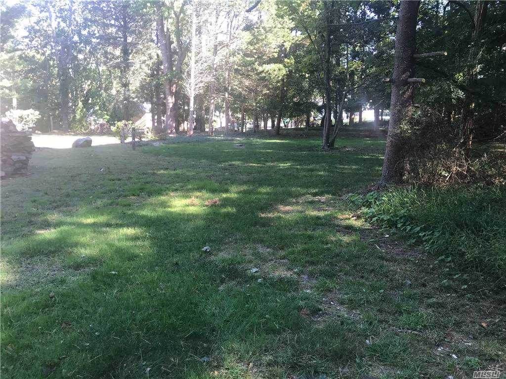 756 Mount Sinai Coram Road - Photo 1