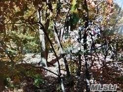 Park Drive - Photo 1