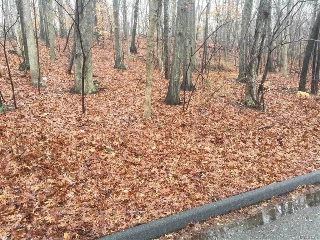 Woodhull Landing Road - Photo 1