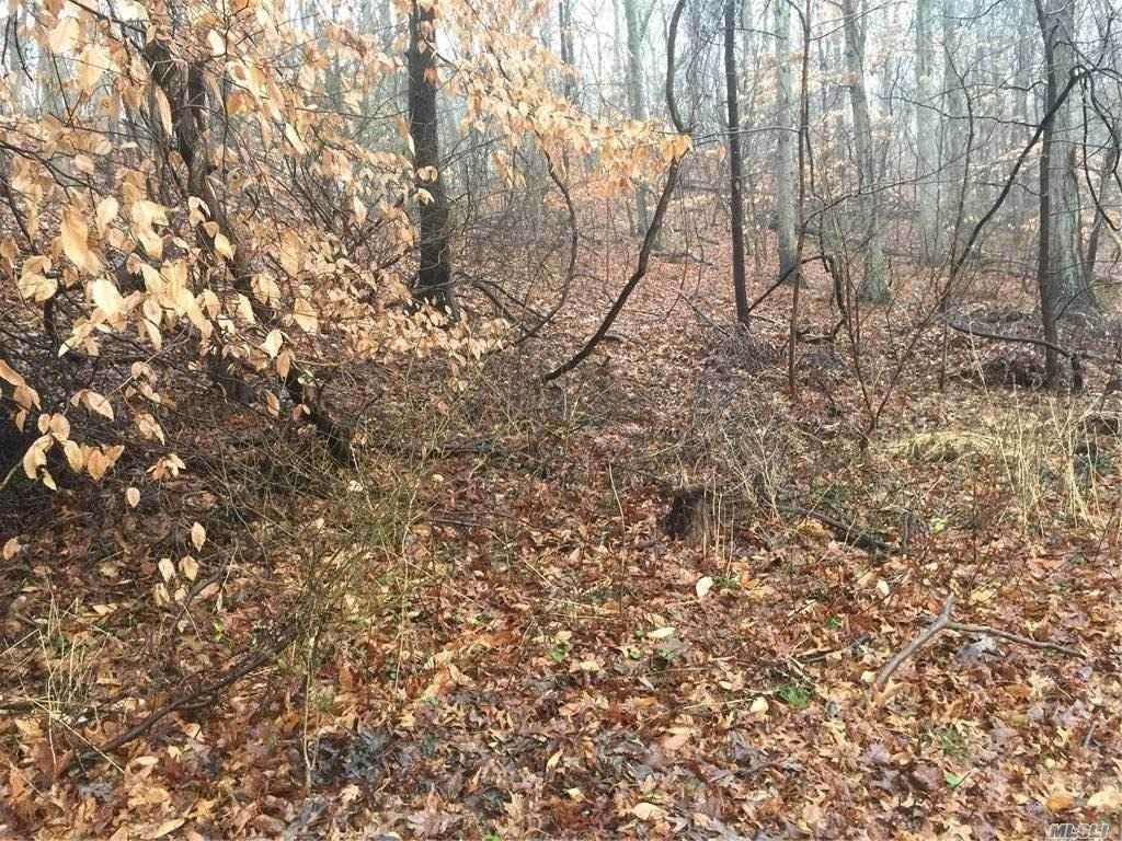 Woodhull Landing Road - Photo 1