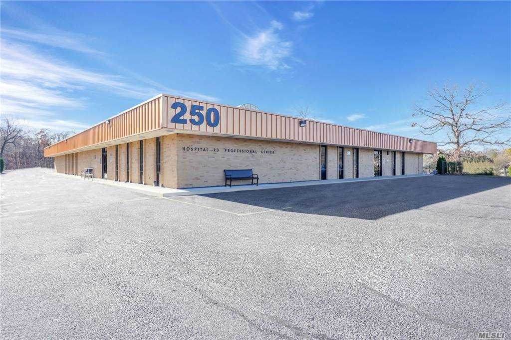 250 Patchogue-Yaphan Road - Photo 1