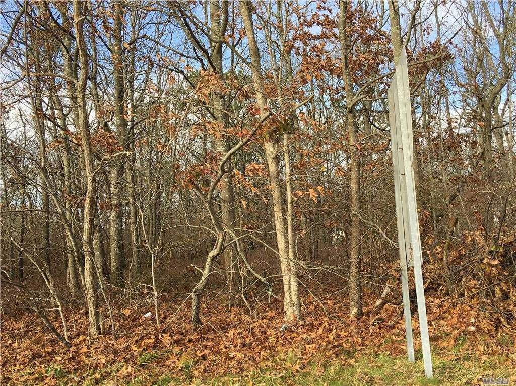 Lots 8&11 Havenwood Drive - Photo 1