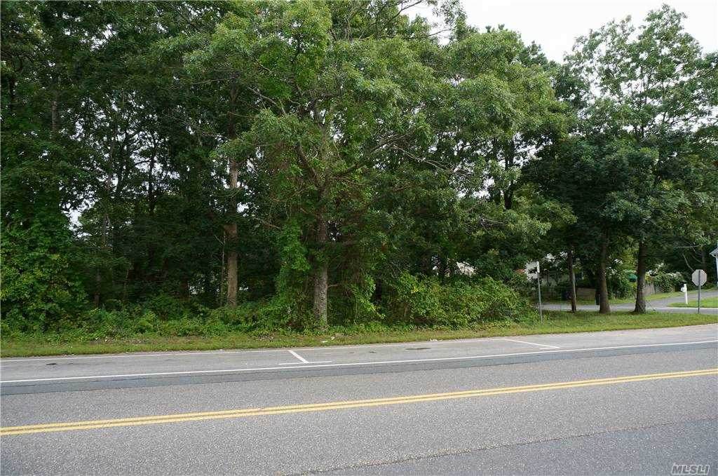 Mastic Road - Photo 1