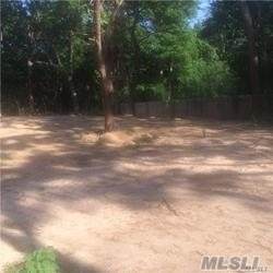 Waverly Avenue - Photo 1