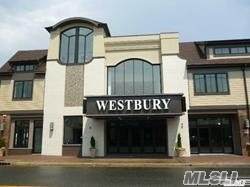 250 Post Avenue - Photo 1