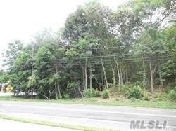 167 Terry Road - Photo 1