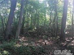 Lot 2079 Laurel Hollow Rd - Photo 1