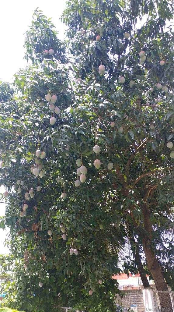 19 Las Acacias - Photo 1