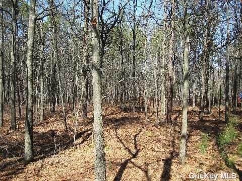 West Yaphank - Photo 1