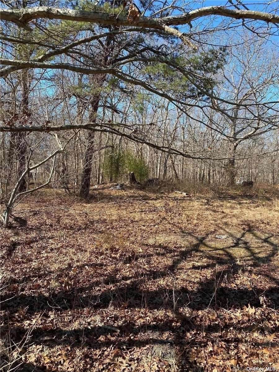87 Phillips Avenue - Photo 1