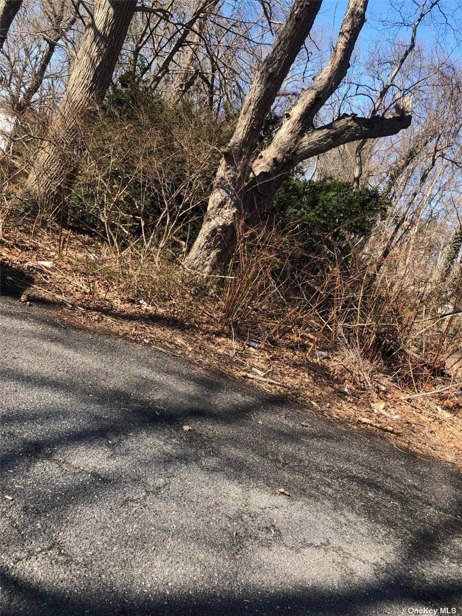 881 Baeck Street - Photo 1