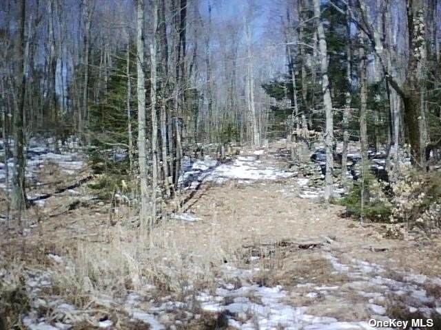Babcock Lake Rd - Photo 1