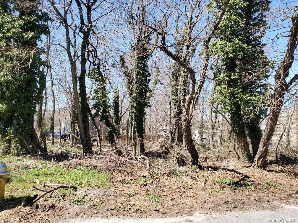 Hickory Road - Photo 1