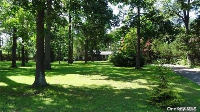 313 Vanderbilt Parkway - Photo 1