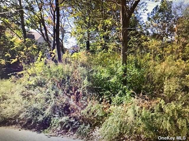 6 Windus Drive - Photo 1