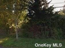 261 Oakleigh Avenue - Photo 1