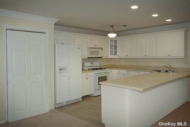 61 Village Green Drive - Photo 1