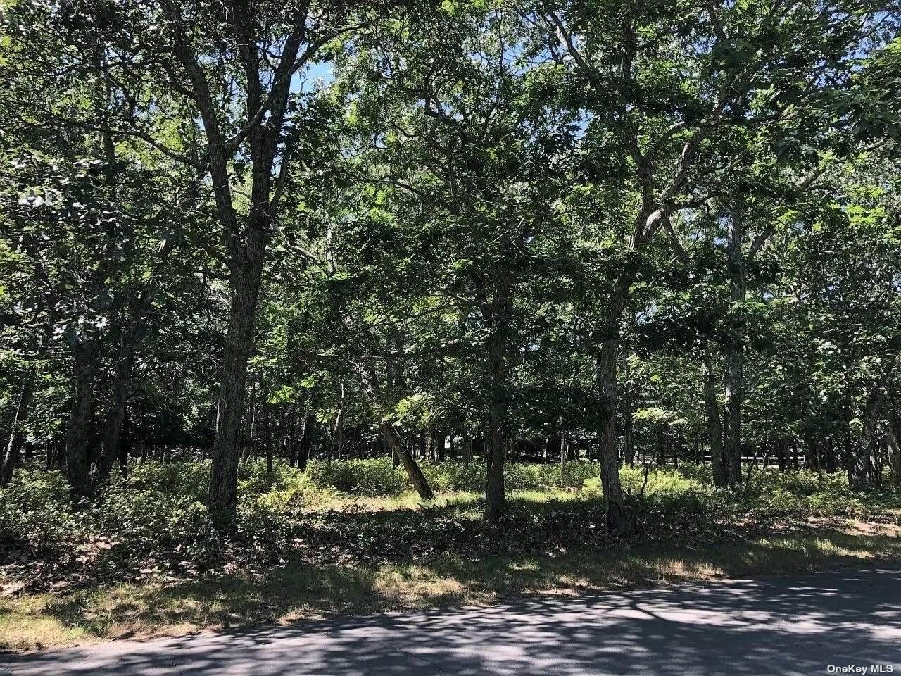 140 Talmage Farm Lane - Photo 1