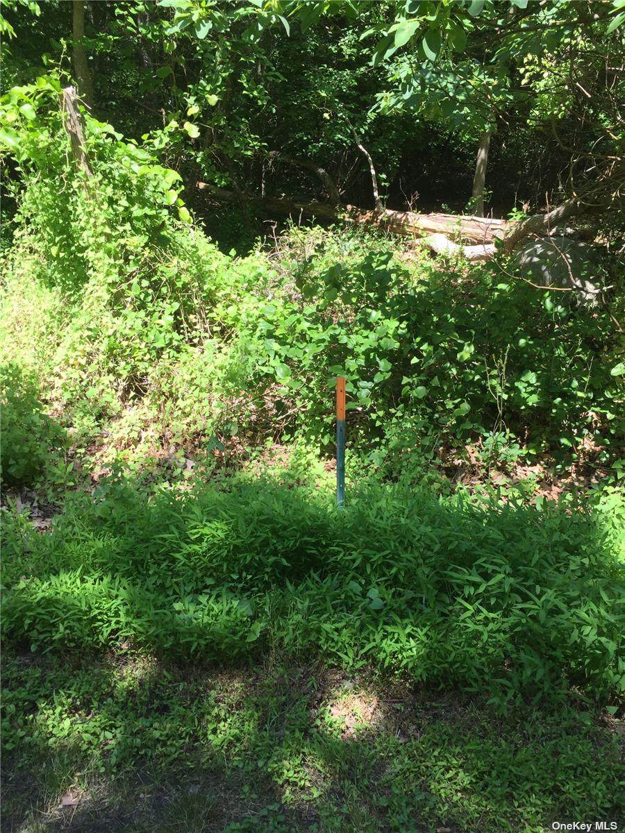 76 Fairview Avenue - Photo 1