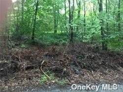 18A Valley Circle - Photo 1