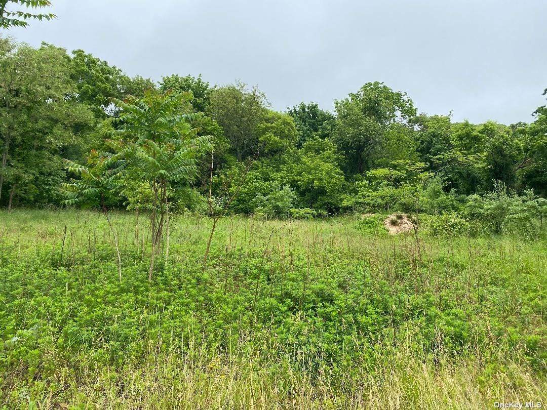 710 Main Road - Photo 1