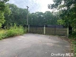 0 Manor Yaphank Road - Photo 1