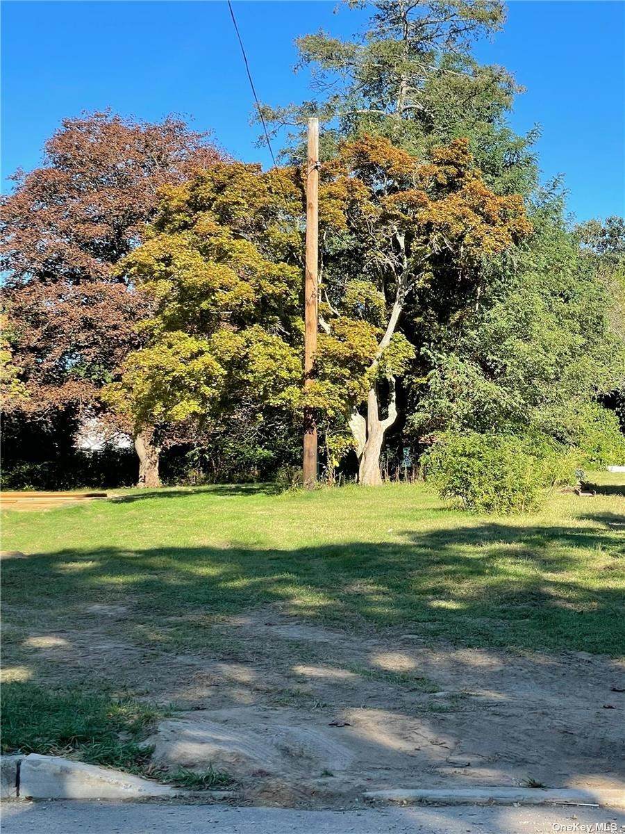 89 - Lot 2 Hobson Avenue - Photo 1