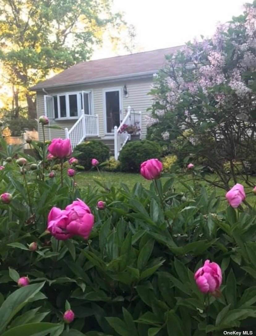 85 Cumberland Street - Photo 1