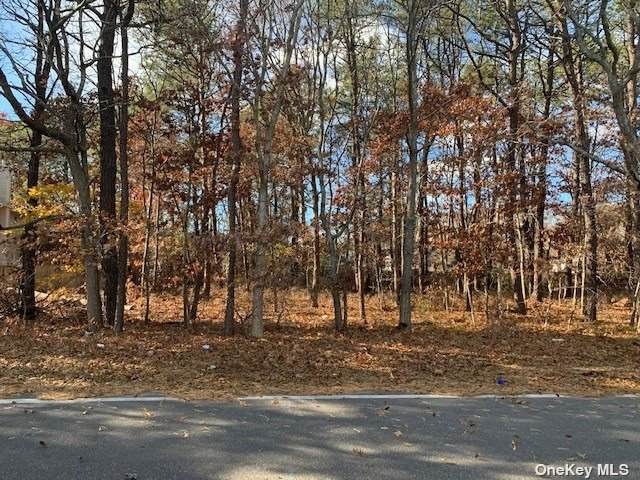 No Address - Photo 1
