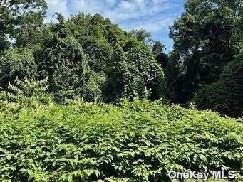 426 Rocky Point Road - Photo 1