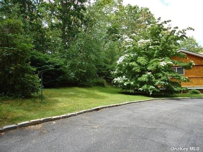 33 Woods Lane - Photo 1