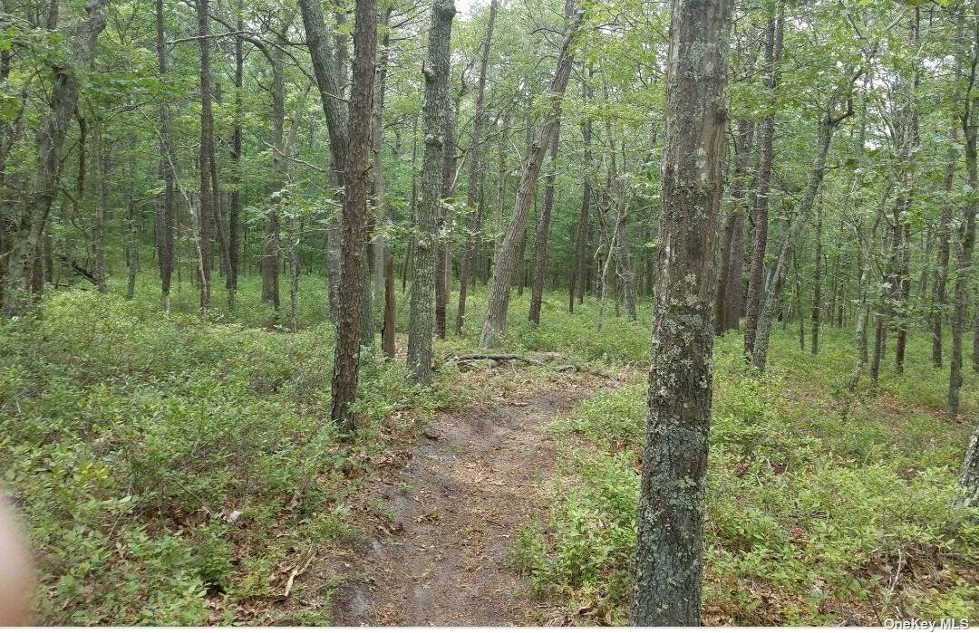 Old Middle Count Road - Photo 1