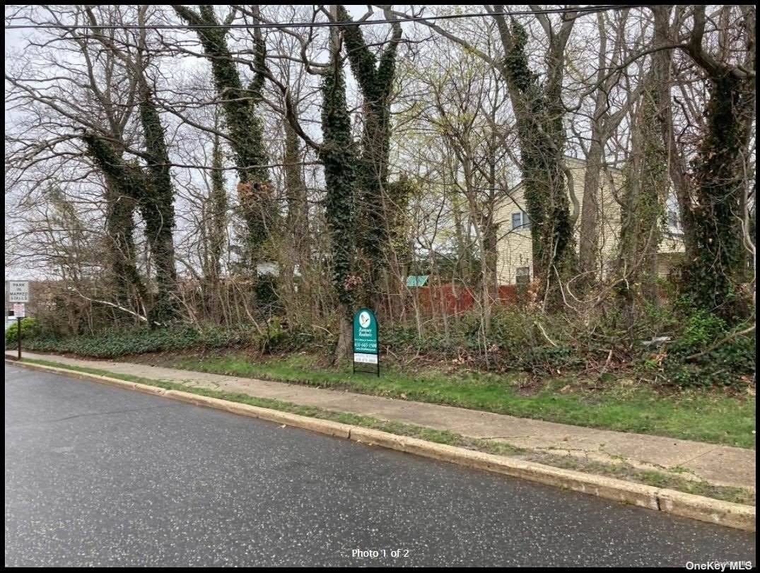 Saxon Avenue - Photo 1
