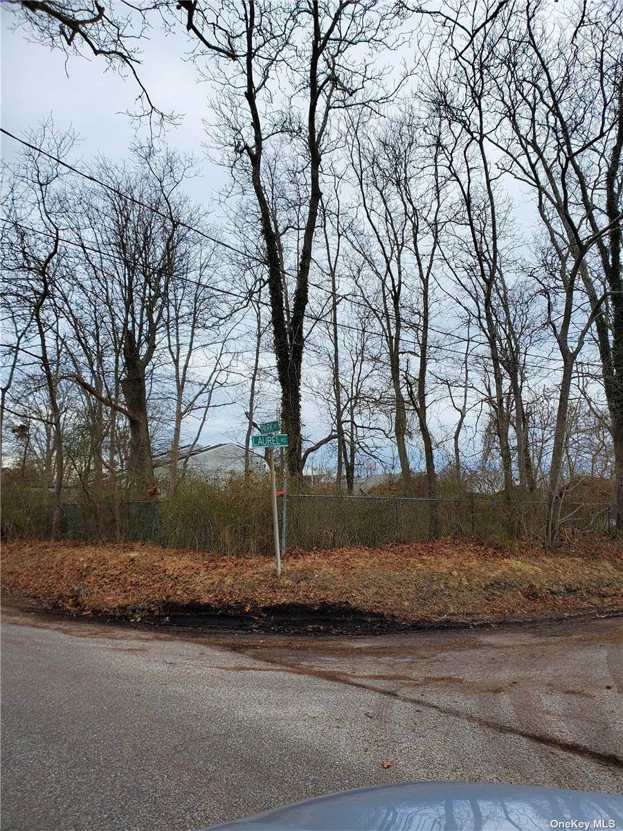 V/L Park Drive - Photo 1