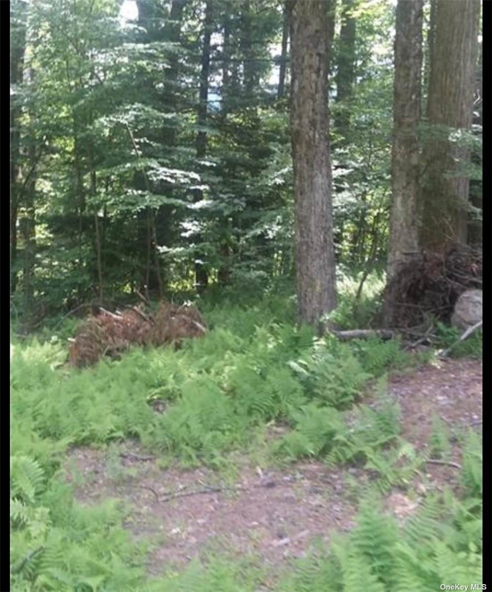 Mt Laurel Road - Photo 1