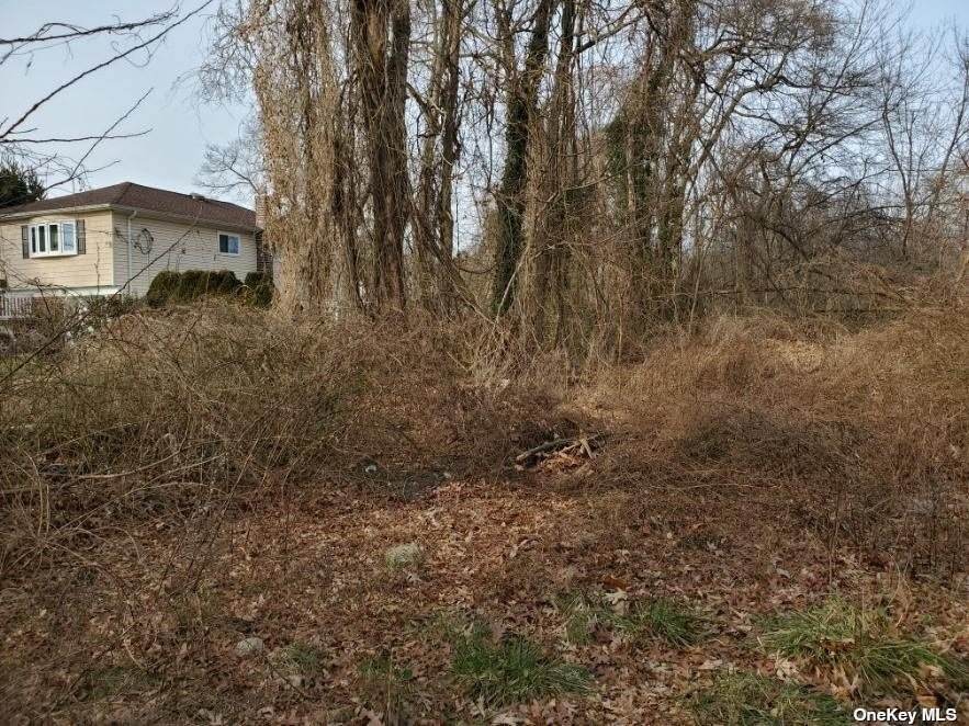 431 Litchfield Avenue - Photo 1