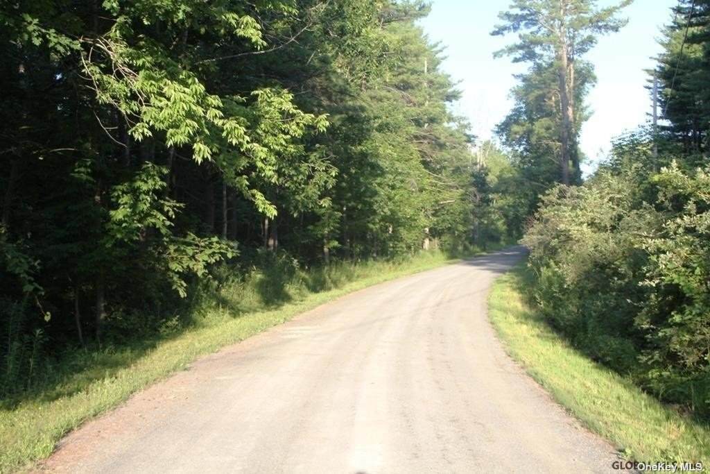 206 Kimmy Road - Photo 1