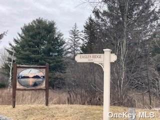 Eagles Ridge Way - Photo 1