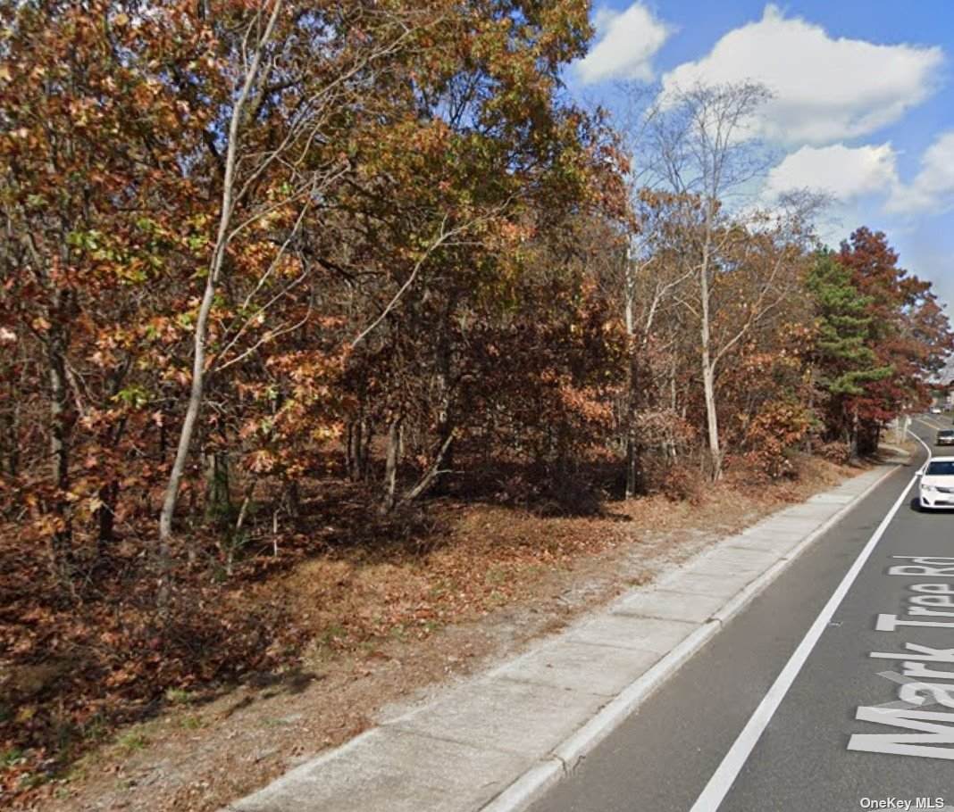 Mark Tree Road - Photo 1