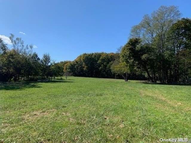 385 New Suffolk Avenue - Photo 1