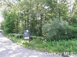 0 Bridge Road - Photo 1