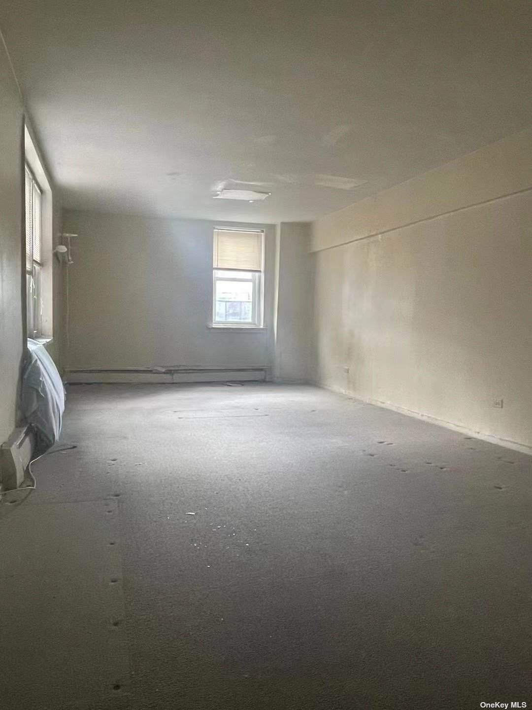 4242 Colden Street - Photo 1