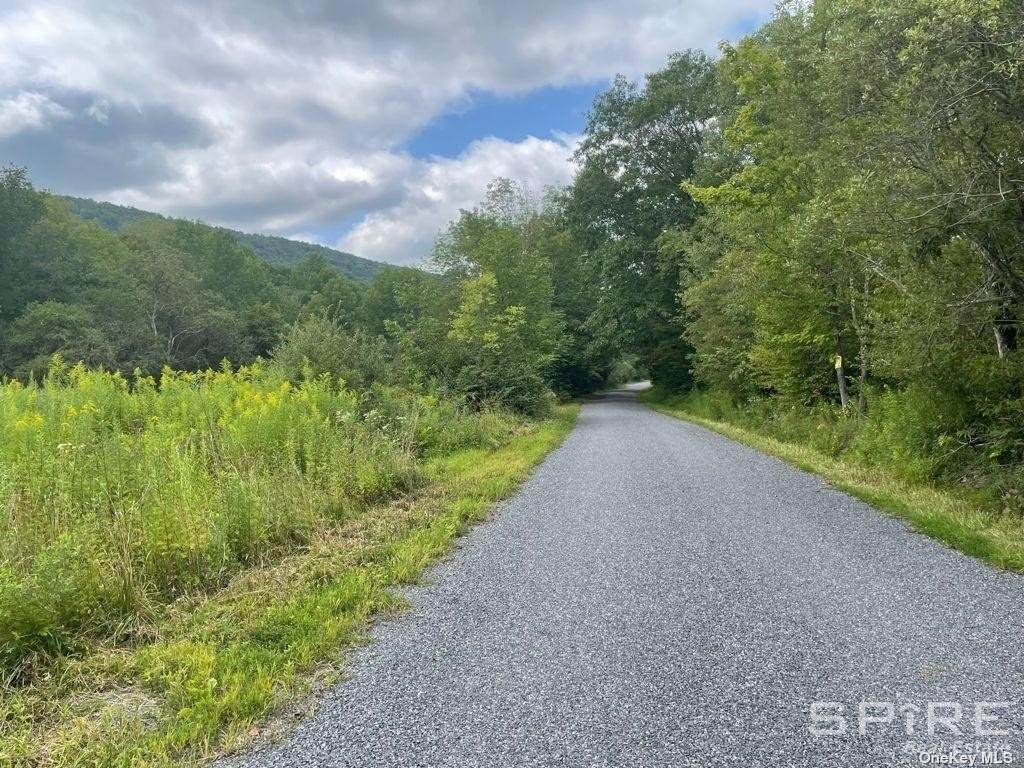 574 Turk Hollow Road - Photo 1