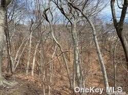 Lot 16 Fox Hunt Lane - Photo 1
