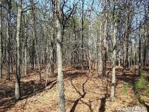 Blower Road - Photo 1