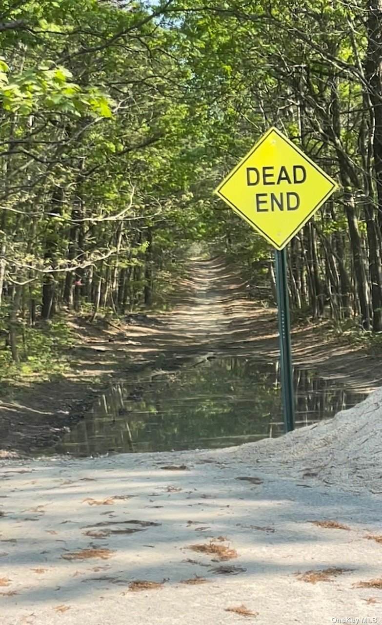 Woodland Road - Photo 1