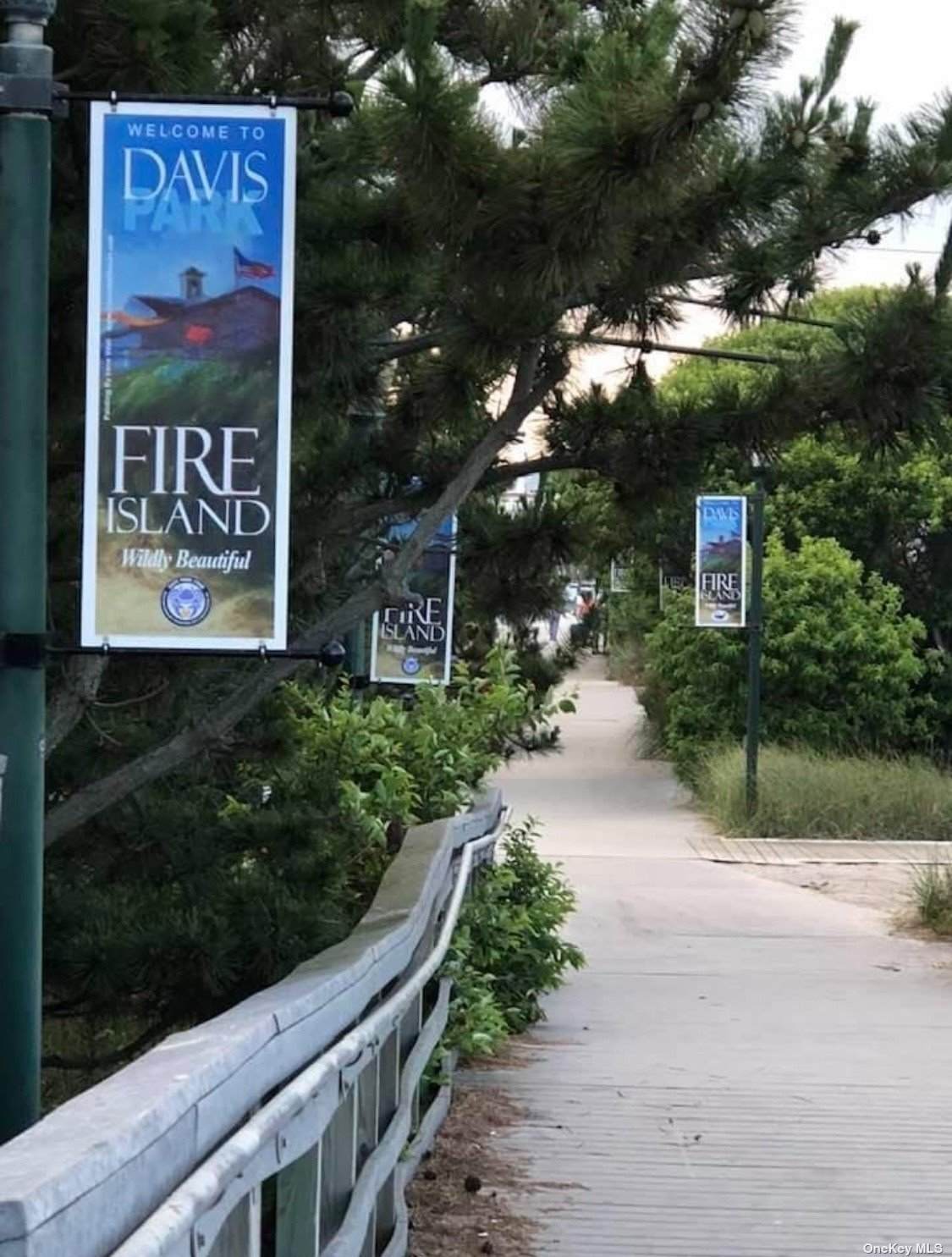 1 Third Walk - Photo 1
